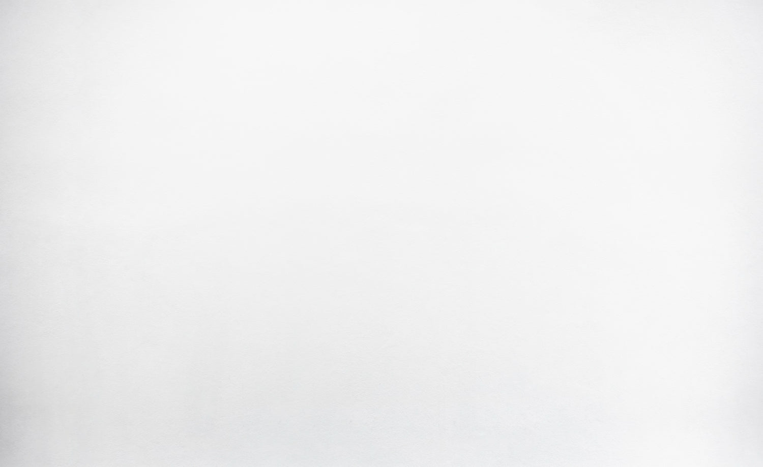 VISION | מצלמות ועזרי נהיגה