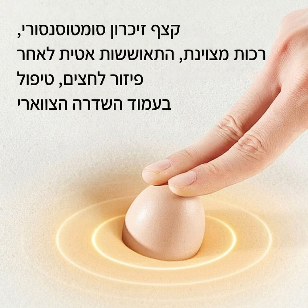 משענת צוואר מקצף זיכרון
